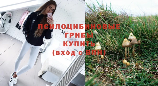 мет Алзамай