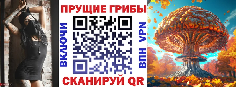 Псилоцибиновые грибы GOLDEN TEACHER omg как войти Алзамай