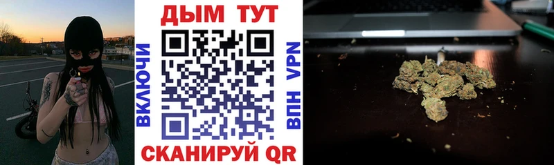 Бошки Шишки гибрид  Алзамай 